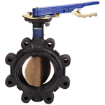 Cast Iron Butterfly Valves,200 PSI,EPDM Seat Liner
